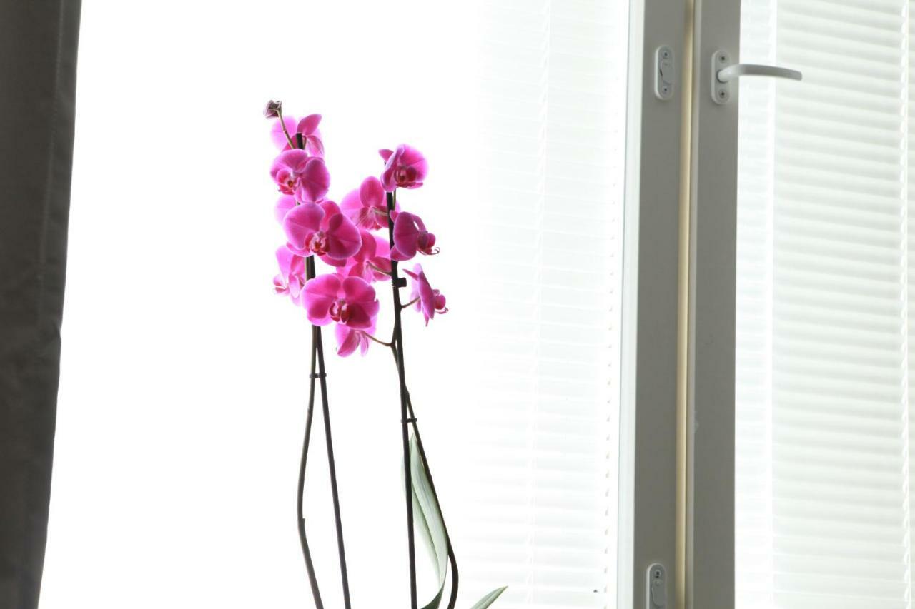 Studio Orchidea Helsinki Luaran gambar